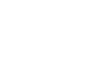 Evolution games at Norppa Casino